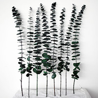 Bouquet de fleurs séchées naturelles, herbe de la pampa, feuilles d'eucalyptus pour la décoration de la maison, des fêtes, des mariages, de Noël, haute qualité