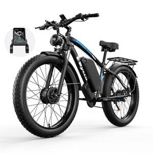 Bicicleta Eléctrica Premium de Aluminio con Llantas Gruesas de 24 Pulgadas, Suspensión Completa para Nieve, Playa y Arena, para Hombres y Mujeres - BE085 BE085 2000W y 4000W Doble Motor - Product Image 1