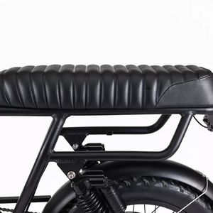 Fat Tyre <b>Bike</b> Adult Customized Fast Speed Dual Suspension <b>E</b> MT06-TS Dual Suspension <b>Bike</b> MT06-TS MT06-TS Dual Suspensio - Product Image 6