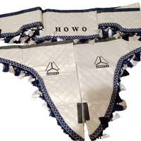 Rideau de Fenêtre Universel pour Camion avec Broderie pour Sitrak Shacman VOLVO FH SCANIA MAN TGA TGX ACTROS Howo DAF 105