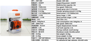 Knapsack Disinfection <b>Sprayer</b> 420 for Public Health in Africa 56.5cc Engine High Productivity - Product Image 3
