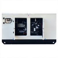 Générateurs diesel à refroidissement par eau, puissance portable 15 kW-60 kW, démarrage électrique, générateur diesel portable pour l'alimentation extérieure
