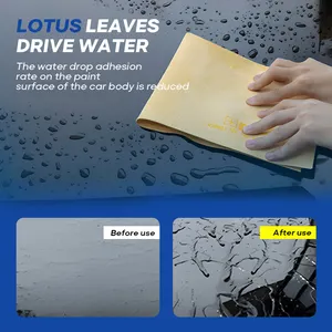 Revestimiento cerámico de grafeno Revestimiento de grafeno 10H para detalles automotrices Tecnología UV avanzada Rasguño de brillo ultra alto - Product Image 2