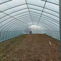 Serres agricoles multi-travées de grande taille modèle GY10 de la marque GY, très demandées, avec couverture en film PE, structure tunnel simple couche