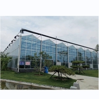 Grand système de serre agricole verticale hydroponique NFT de conception chinoise pour la culture de plantes en verre pour l'agriculture urbaine