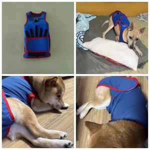 Nuevo <span class=keywords><strong>Chaleco</strong></span> de <span class=keywords><strong>Soporte</strong></span> Espinal <span class=keywords><strong>para</strong></span> Mascotas, Previene la Espaldera en <span class=keywords><strong>Perros</strong></span>, Calma las Emociones, <span class=keywords><strong>Soporte</strong></span> <span class=keywords><strong>para</strong></span> el Pecho y la Espalda <span class=keywords><strong>para</strong></span> <span class=keywords><strong>Perros</strong></span> con Espondilosis Cervical - Product Image 4