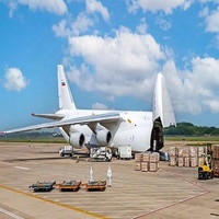 Transport aérien d'articles surdimensionnés, transitaire de fret en Chine vers le Niger/Nigeria/Rwanda/Réunion/Sénégal
