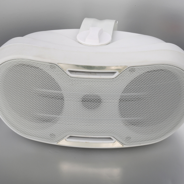 F-LHY505A Professional Double 5.25 Inch 30W Two-way Audio Plastic Passive Speaker for Restaurant and Cafes Wall Mounted Speaker