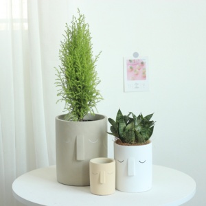 <span class=keywords><strong>Pot</strong></span> <span class=keywords><strong>de</strong></span> jardinières <span class=keywords><strong>de</strong></span> <span class=keywords><strong>visage</strong></span> <span class=keywords><strong>en</strong></span> ciment <span class=keywords><strong>en</strong></span> <span class=keywords><strong>forme</strong></span> <span class=keywords><strong>de</strong></span> cylindre Offre Spéciale avec trou pour la décoration intérieure - Product Image 4