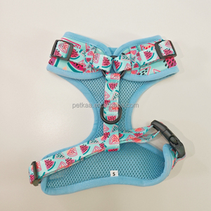 2025 productos para mascotas, los más vendidos, accesorios personalizados para caminar para perros, conjunto de <span class=keywords><strong>collar</strong></span> y correa de arnés para perros personalizados para suministros para mascotas - Product Image 4