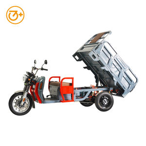 Triciclo Eléctrico de Carga de 3 Ruedas para Adulto 3PLUSCOCO Nuevo Diseño 2024 2000W 3000W 25km/h 45km/h - Product Image 4