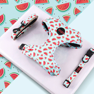 Harnais pour chien mains libres avec collier de fruits pêche 2026, personnalisable par sublimation, de luxe, vente en gros - Product Image 4