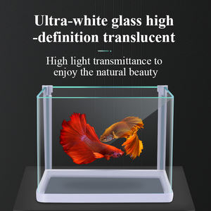 2024 nouveau wn Offre Spéciale Aquaculture verre clair Aquarium acrylique bêta poisson Table bureau petit aquarium - Product Image 2