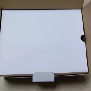 Modelo de Estómago con Estructura Patológica: Gastritis Atrofiada, Úlcera Perforada, Modelo de Sistema Digestivo Humano - Product Image 6