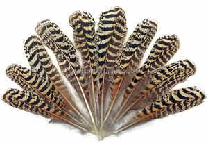 Plumas de Pavo Real Naturales con Rayas Marrones de 10-12\"/12-14\" al por Mayor para Decoración - Product Image 3