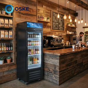 <span class=keywords><strong>Congelador</strong></span> Vertical Comercial con Puerta de Vidrio, Base de Soporte Sólido, Múltiples Divisiones Interiores, Exhibidor de Bebidas Congeladas y Hielo para Supermercados - Product Image 5