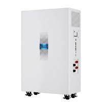 Sistem Penyimpanan Energi Surya Baterai LiFePO4 51.2V 300Ah 15kWh, Stasiun Daya Cadangan Rumah, Solusi UPS Terpisah yang Dipasang di Dinding, Pro