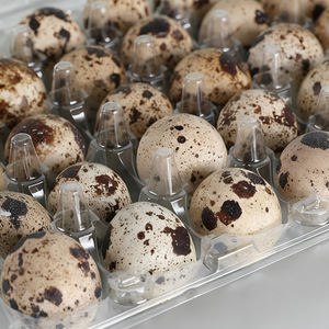 ถาดใส่ไข่30ฟองสำหรับสัตว์เลี้ยงถาดพลาสติกใสแบบใช้แล้วทิ้งถาดใส่ไข่นกกระทาสำหรับใส่ไข่30ฟอง - Product Image 4