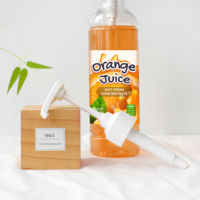 Pompe à sirop universelle à long bec, distributeur de liquide pour bouteille de sirop chocolat Monin