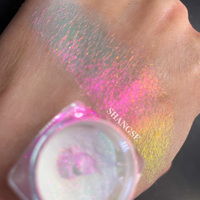 Prix usine Neon Holographic Pigment Blanc Iridescent Eyeshadow aurora caméléon poudre