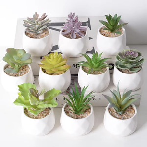 Decoración para el Hogar, Mini Plantas <span class=keywords><strong>Suculentas</strong></span> de Aloe en Maceta Gris Artificial de Alta Calidad - Product Image 3