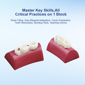 YOUYA DENTAL Dental Training Model for <strong>Tooth</strong> Fillings Resin <strong>Inlay</strong> Model with Three <strong>Teeth</strong> Suitable for Dental Clinics and Schools - Product Image 6