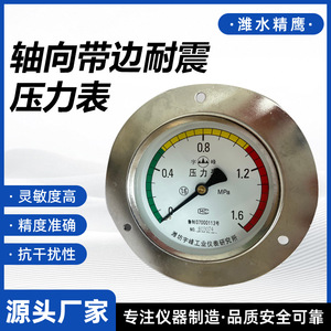 Manomètre Weishui Jingying YN-60ZT en acier inoxydable à bride pour la mesure de la pression d'huile hydraulique, d'eau et d'air - Product Image 5