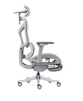 Chaise ergonomique pour la maison avec repose-pieds, soutien lombaire confortable et réglable, accoudoirs en aluminium