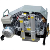 Compresseur d'air portable sans huile à piston, haute pression, 5,5 kW, alimenté en courant alternatif, idéal pour la plongée sous-marine, à prix avantageux