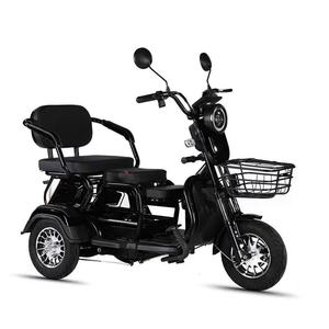 Vente d'usine <span class=keywords><strong>Tricycle</strong></span> <span class=keywords><strong>adulte</strong></span> pour personnes handicapées, scooter <span class=keywords><strong>électrique</strong></span> de loisirs à trois places 650w, <span class=keywords><strong>tricycle</strong></span> <span class=keywords><strong>électrique</strong></span> de loisirs pour personnes âgées, mini moto - Product Image 3
