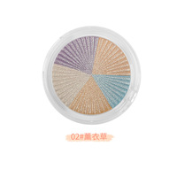 Palette de 5 surligneurs scintillants multicolores, poudre pressée végétalienne, personnalisable avec votre logo, pour le visage