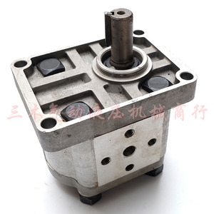 ปั๊มเกียร์ไฮดรอลิก Sairui CBN-F310 ปั๊มน้ำมันไฮดรอลิกไฟฟ้า ปั๊มเพิ่มแรงดันไฟฟ้า หลายอัตราการไหล - Product Image 3