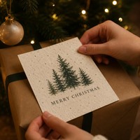Carte de Noël en papier semence avec motif de verdure hivernale et de flocons de neige