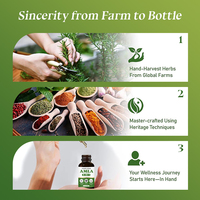 Vente Directe : Gouttes d'Extrait d'Amla 5-en-1 avec Acerola, Sureau, Acide Hyaluronique, Niacinamide – Complément Alimentaire Liquide