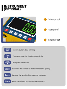 Trọng lượng xe nâng Pallet xe tải quy mô cho trọng lượng - Product Image 6