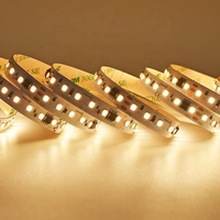 Bande LED à pixels blancs DC24V 120 LED/M SMD2835 20 Pixels/M Bande LED adressable programmable pour l'éclairage architectural