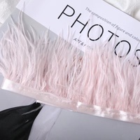 Vente en gros de dentelle de plumes d'autruche durable de 10 à 15cm pour robes et sacs à main Garnitures et franges en plumes d'autruche moelleuses de 10 à 15cm