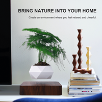 Nouvelle Mode Dropshipping Lévitation Pot De Plantes Flottant Pot De Fleurs À Lévitation Magnétique Pour La Décoration Cadeaux D'affaires