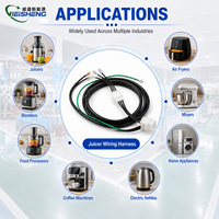 Kabel Kustom untuk Mesin Juicer, Perakitan Kabel Peralatan Rumah Tangga untuk Mesin Juicer