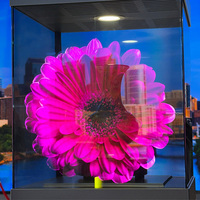 Écran LED holographique MIP COB haute transparence 2026, design ultra-fin, SDK intérieur pour aéroport, magasin de luxe, vitrine