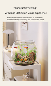 금붕어 수조 조경용 장식용 어항 전용 수족관 어항 투명 데스크탑 거실 미니어처 풍경 수조 - Product Image 4