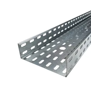 Fast Delivery Various Specification Custom Ventilated Trough Galvanized Steel Perforated Cable Tray