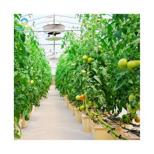 Seau hydroponique ferme utilisée 11L 3 gallons système de culture d'irrigation indépendant barils hollandais fleur de concombre seau hydroponique - Product Image 1