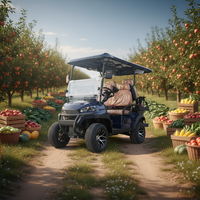 Vente directe du fournisseur de voiturettes de golf à essence 4 places équipées de pneus tout-terrain de 14 pouces