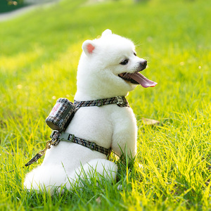 Pettorina per Cani Personalizzata OEM con Logo, Traspirante, di Lusso, con Guinzaglio e Accessori per Sacchetti Igienici, in Pelle, Regolabile, alla Moda, Morbida - Product Image 4