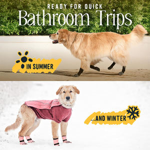 नए स्ट्रिप्ड बड़े कुत्ते पालतू जानवर वाटरप्रूफ लुभावनी पर्यावरण के अनुकूल रबर प्रिंट गैर पर्ची आधुनिक कुत्ते के जूते गर्मियों के मौसम कपास - Product Image 6