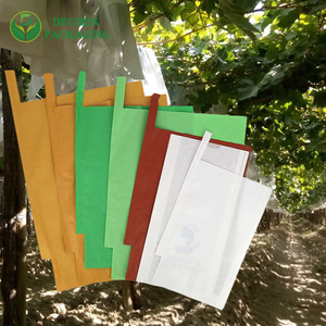 Agriculture Mango Paper Waterpoof Pomegranate Growing Bag