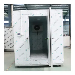 工業用クール冷蔵庫壁掛け冷凍装置冷凍庫モノブロック冷凍濃縮ユニット