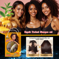 Ensemble Shampooing et Après-Shampooing 2-en-1 ROUSHUN Répare et Protège avec Gingembre et Thé Vert