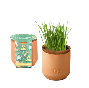 Tiny Terracotta Indoor Herb Garden Kit para mascotas Macetas y jardineras con luz <span class=keywords><strong>de</strong></span> cultivo y suelo <span class=keywords><strong>de</strong></span> turba <span class=keywords><strong>de</strong></span> coco - Product Image 1